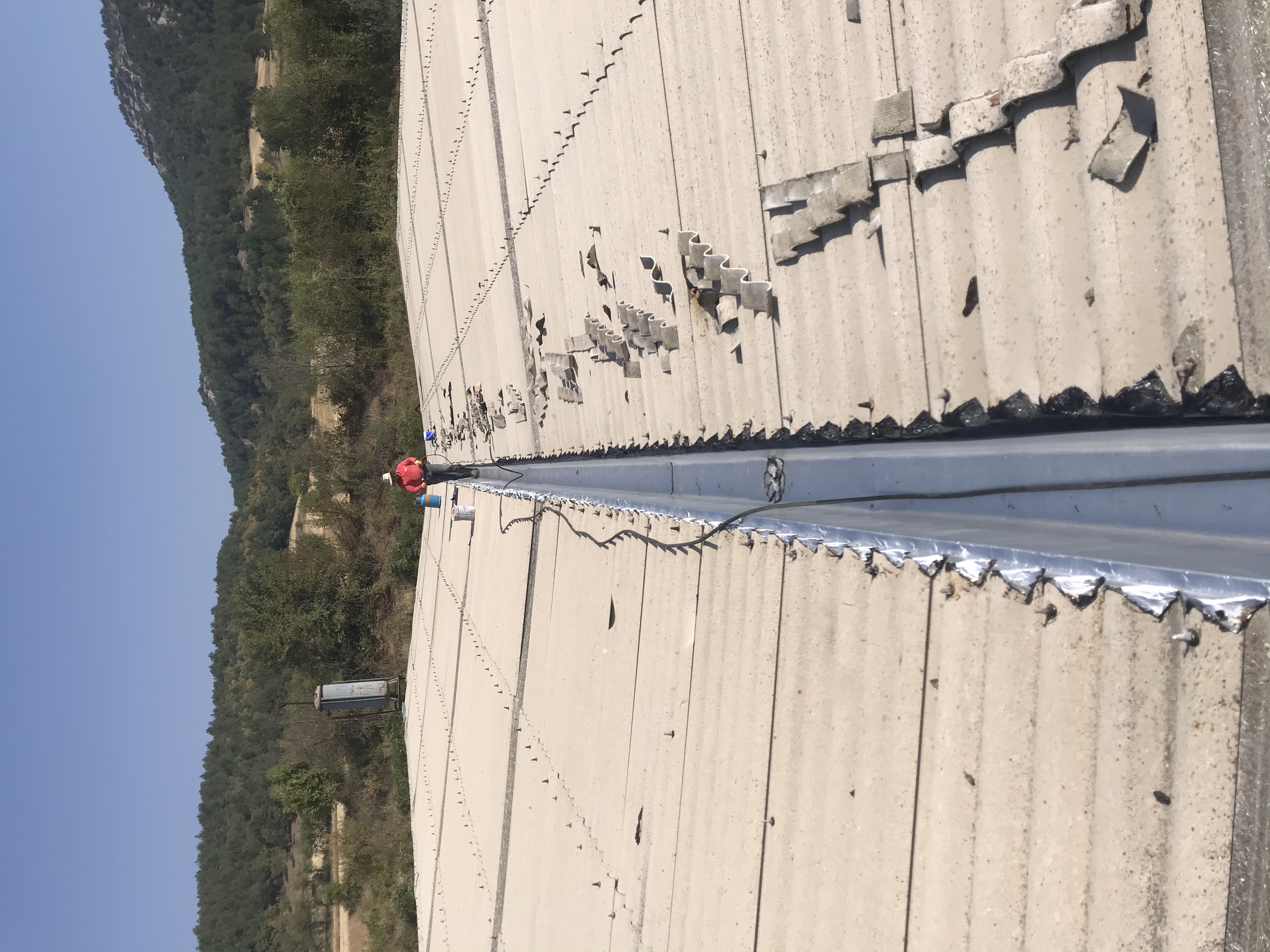 Dere folyolu bütümlü mebran 
